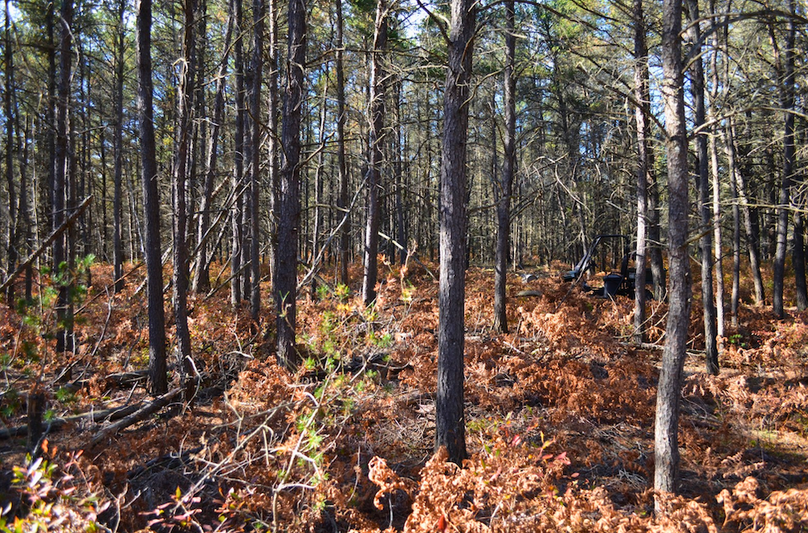 Screenshot 2025-11-14 at 11.20.29 AM