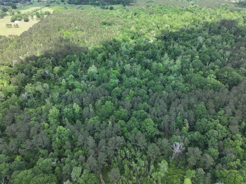 dji_fly_20260413_114414_0036_1776114935485_photo