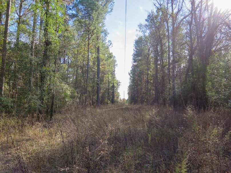 Lauderdale Co - 74 - Gillentine-17