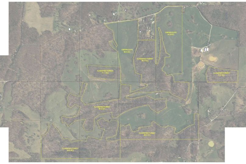 Turtle Creek CRP copy