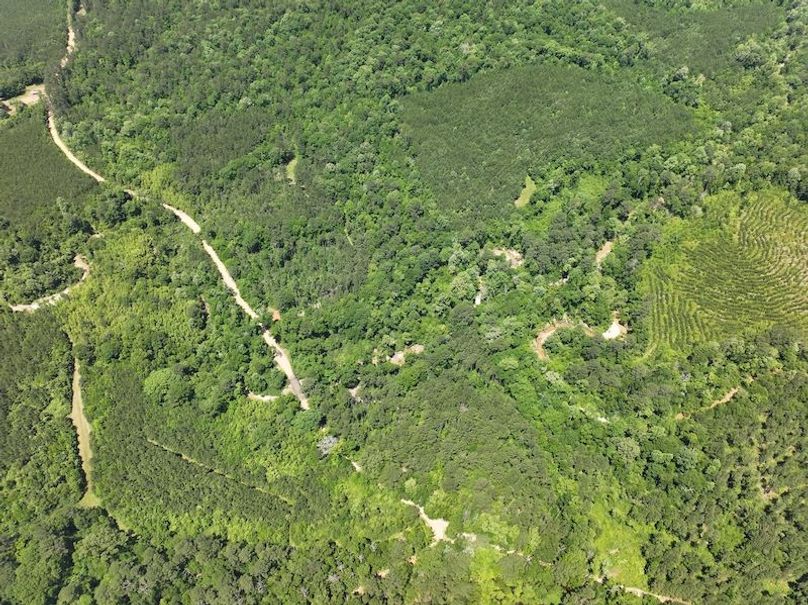 dji_fly_20260518_104144_0206_1779205357277_photo