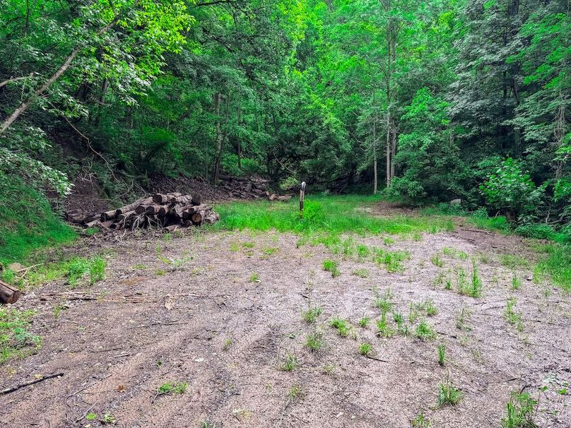 Wirt, WV 137.45 AC Full-10