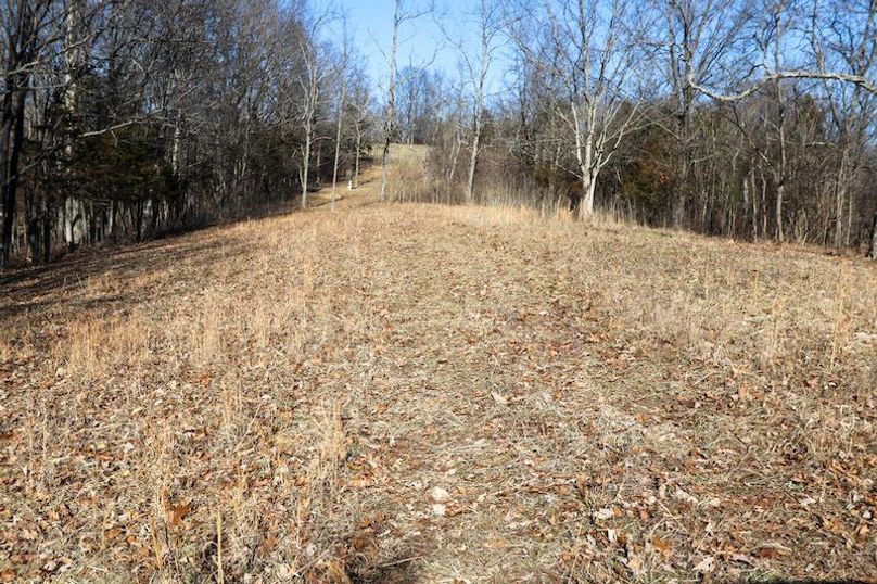 022 the middle point looking north toward the main ridge