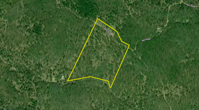 Screenshot 2023-06-14 at 11.28.03 AM