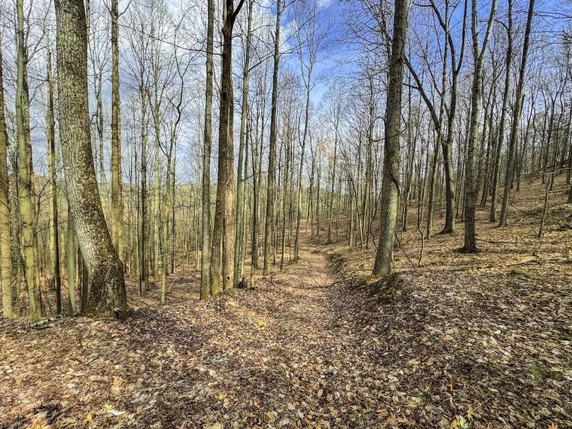 Ritchie, WV 206.08 AC Curriden-47