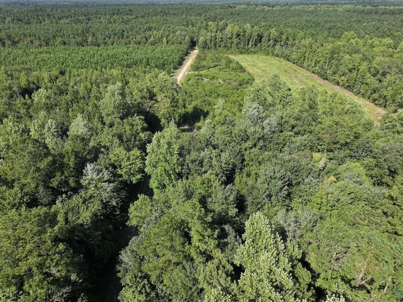 DJI_20240820164150_0024_D