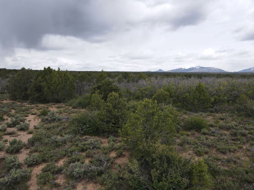 dji_export_1685968244780