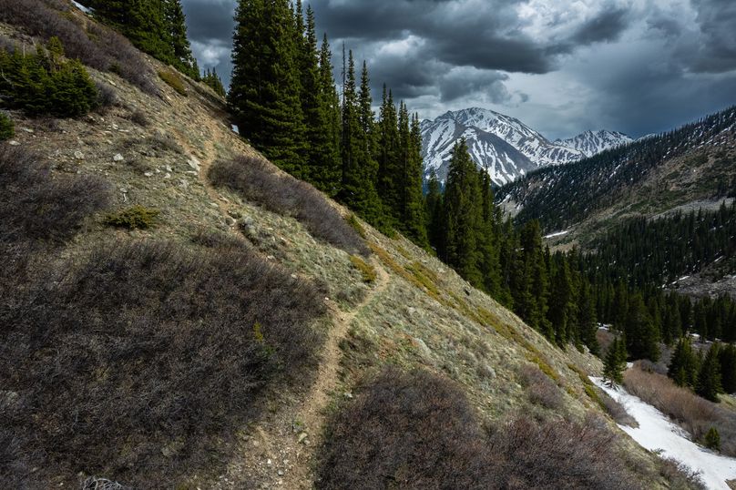 Lake 51.63 - 010 Game Trails