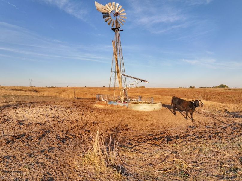 Copy of Western Sky Farms, LLC-04