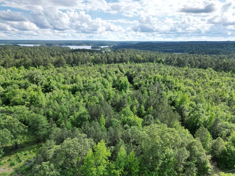 DJI_0034