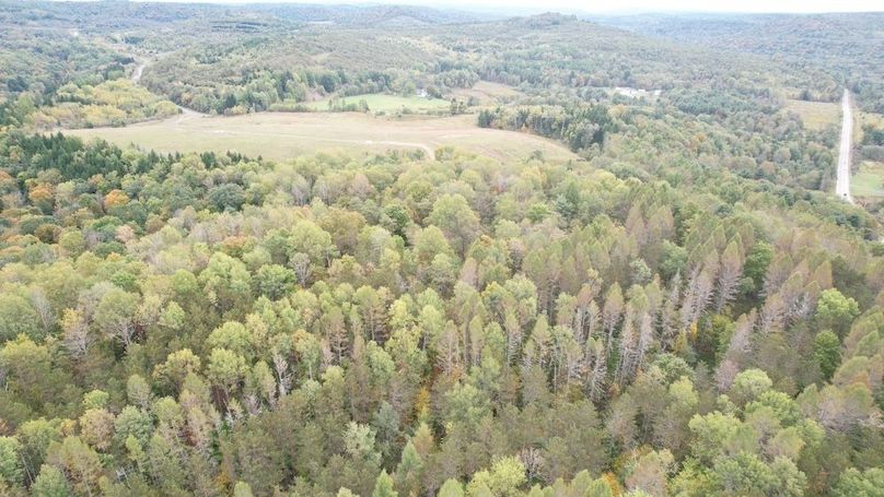 dji_fly_20240926_134542_739_1727372974305_photo