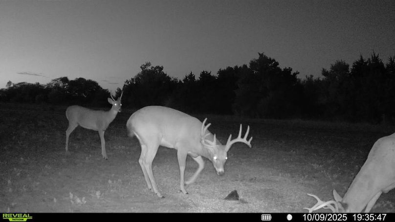 016578002025259-100-3-10092025193547-SYFW09360