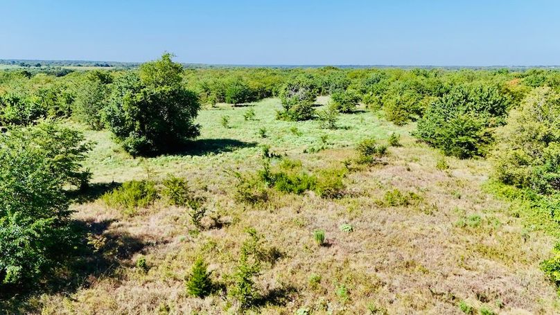 dji_fly_20250728_102300_0058_1753739685610_photo