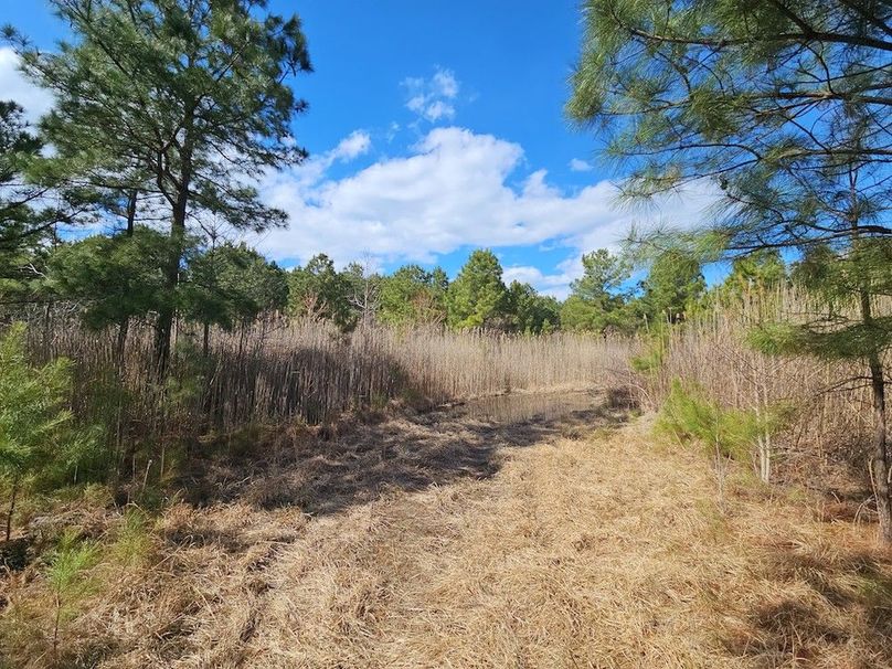 Romancoke_QAnnes_PIC_09