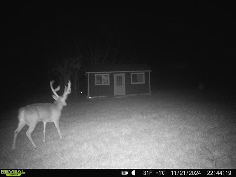 868032068385099-100-4-11212024224420-W1006756