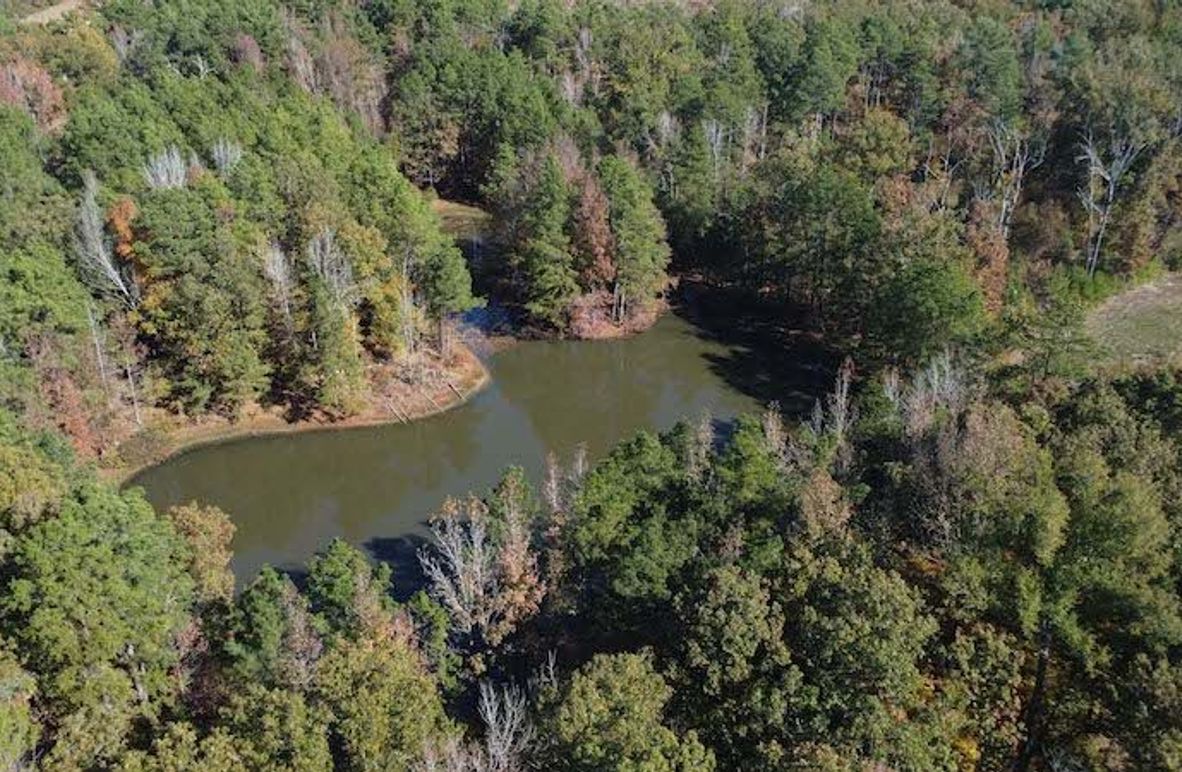 jeff 5020251111_0280