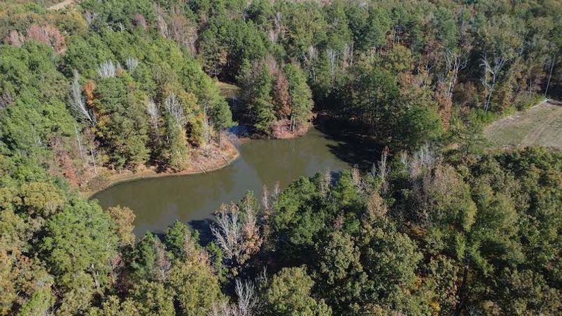 jeff 5020251111_0280