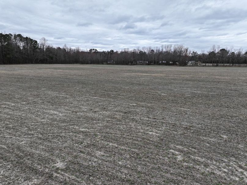 dji_fly_20260218_144724_0546_1772499963028_photo