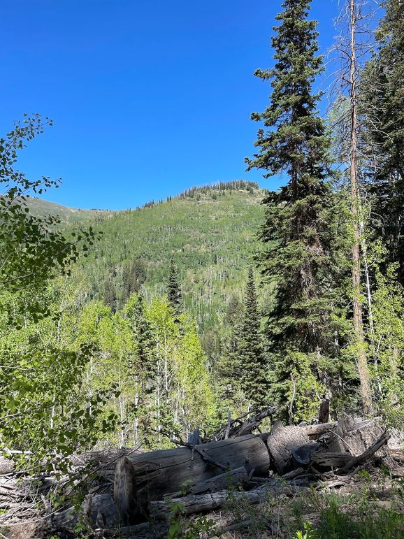 6 photo sanpete 795