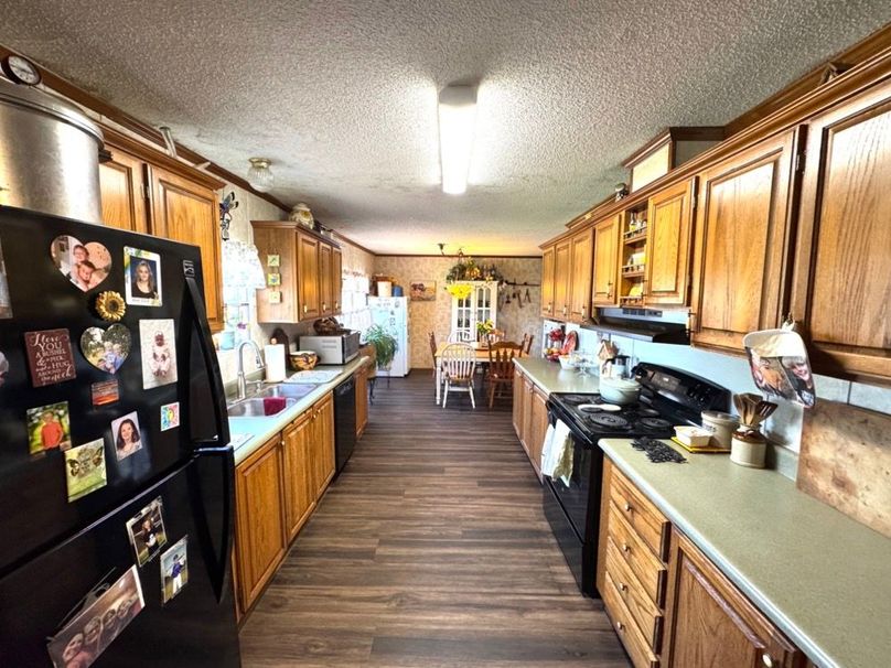 Pic 16