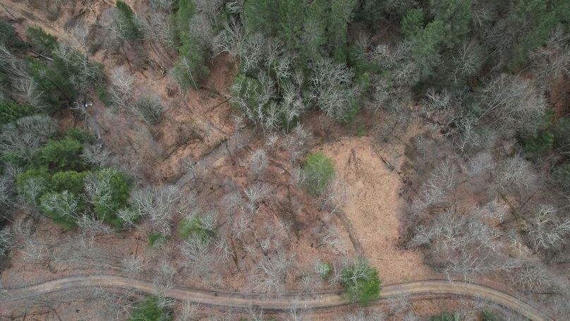 dji_fly_20260323_135554_188_1774365633226_photo