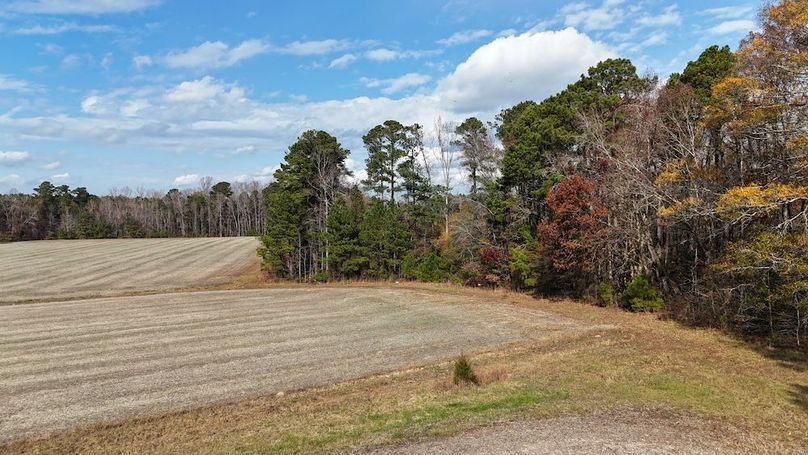 dji_fly_20251122_125918_0061_1763834538466_photo