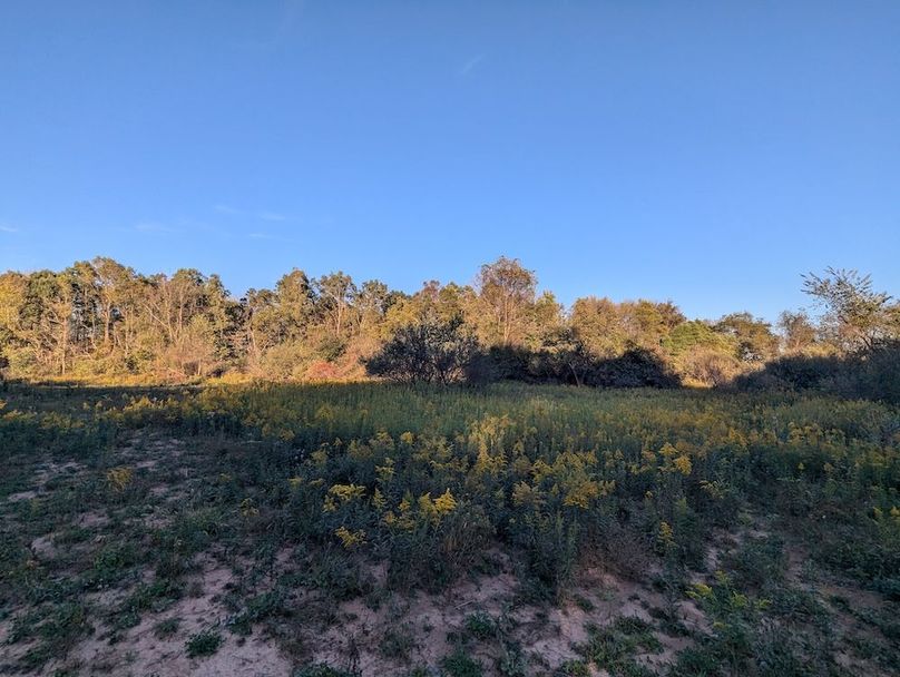 PXL_20251001_220453019