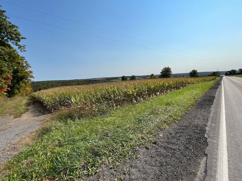 Yates_29_Stape Photo 42