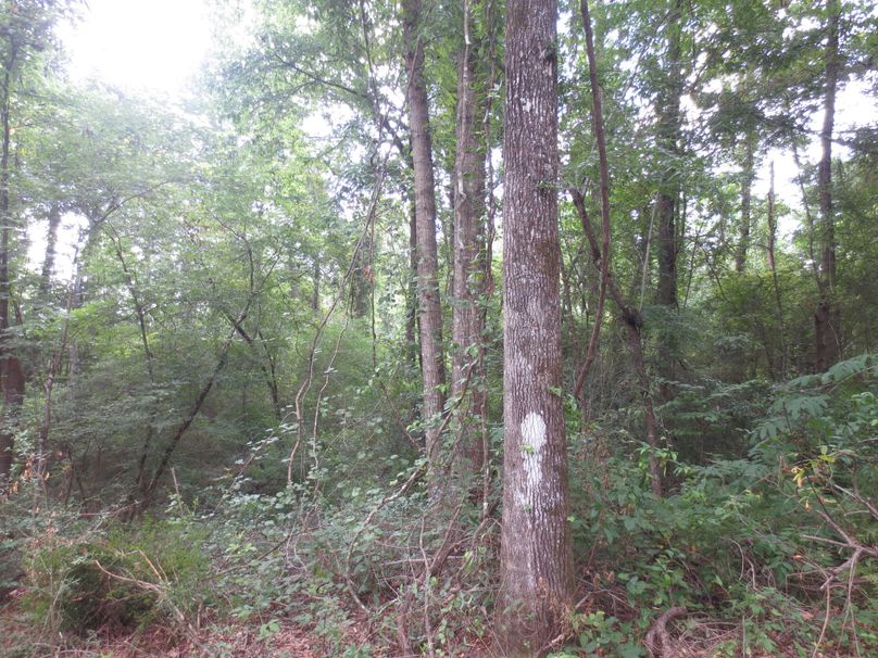 3065803E-863C-4091-BEDA-27929884656D