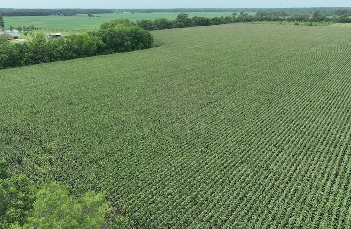 dji_fly_20240620_102406_547_1718899053036_photo