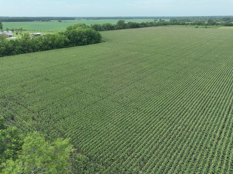 dji_fly_20240620_102406_547_1718899053036_photo