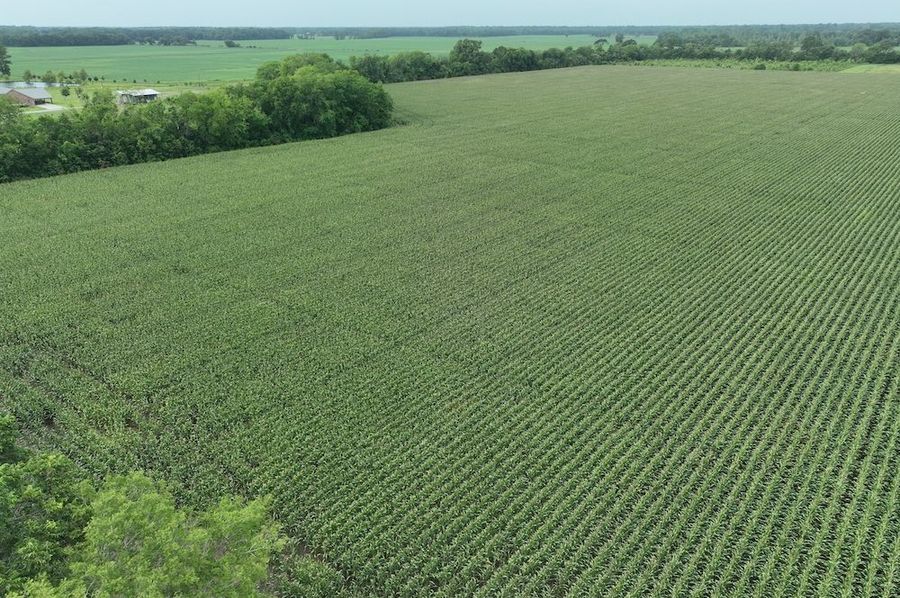 dji_fly_20240620_102406_547_1718899053036_photo