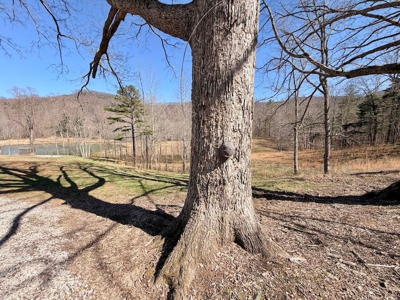 Morgan Co TN 310.833 Schneller_55