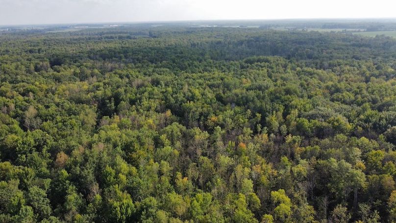 dji_fly_20240826_164440_386_1724708980548_photo_optimized