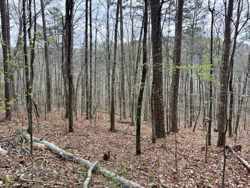 101D9D0A-D782-4429-83B7-8B096A7A634C_1_201_a