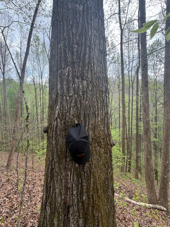 017 natural hat hangers