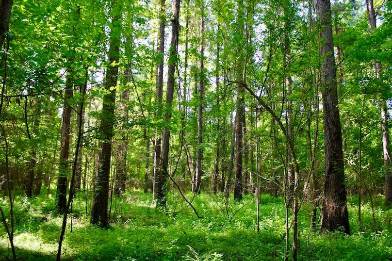 5501723C-5F61-4013-A015-EFFF4E2DE861_1_201_a