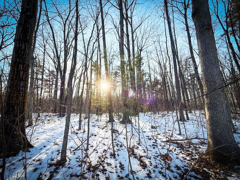 Seneca_43_Hohwald_Photos_8