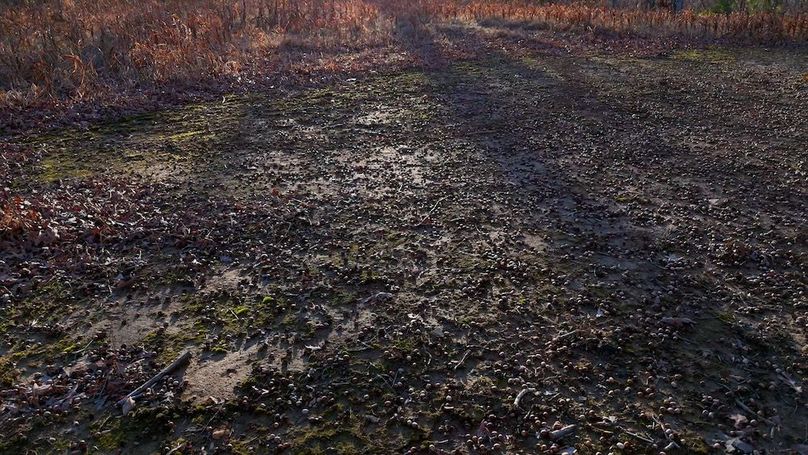 DRONE.00_07_35_15.Still020