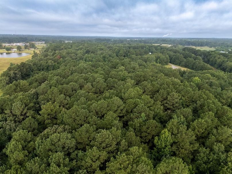 15 Panola Co. 40ac - Rouse-03