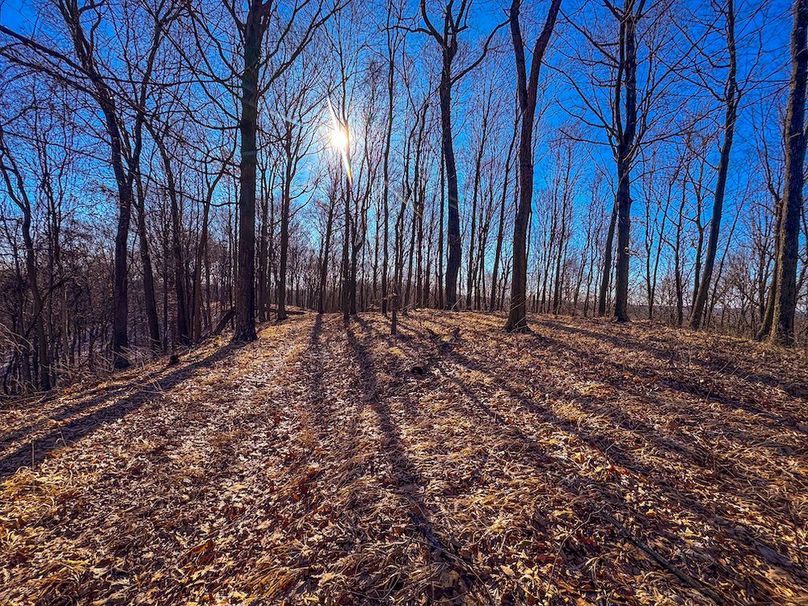 Pleasants, WV 81 AC Barron-39