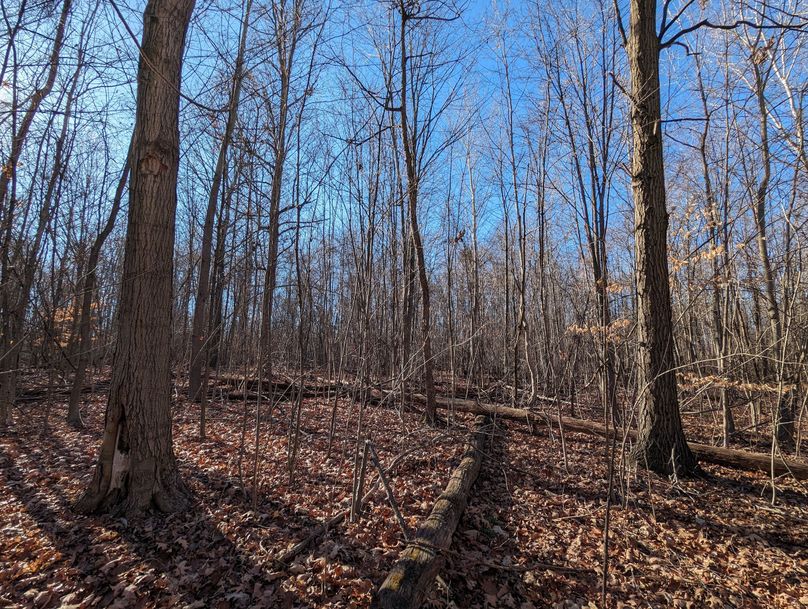 PXL_20231215_164354728