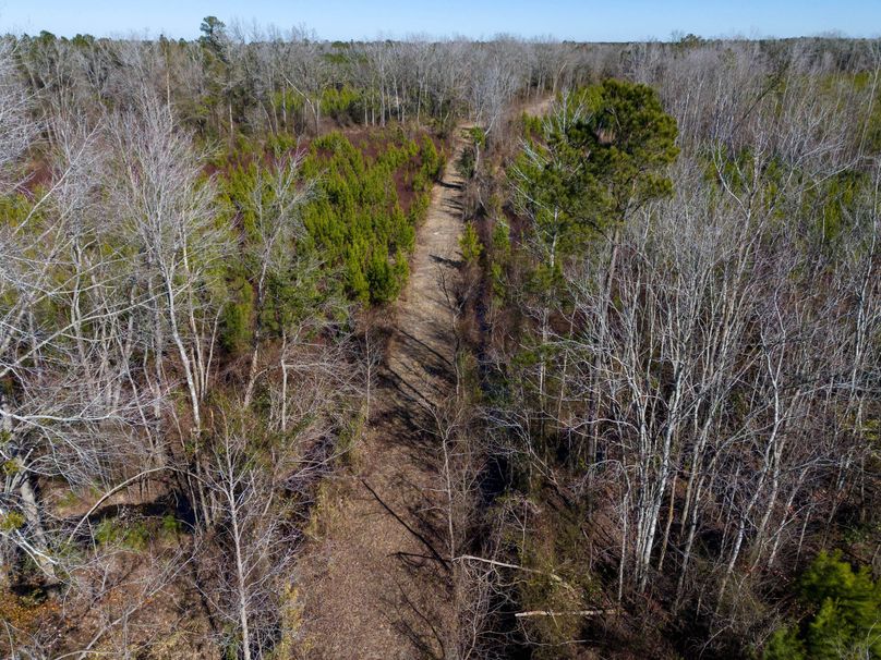 Pender NC 382 - Edits-23