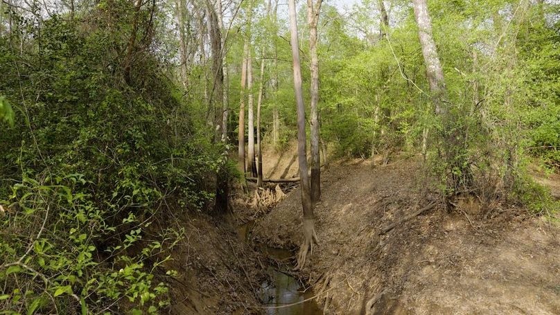 Marion TX 143 and 117 Featured_WEB.00_05_41_21.Still013