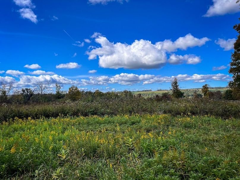 Tompkins_30.32_Hildreth_Estate_Phoros_28