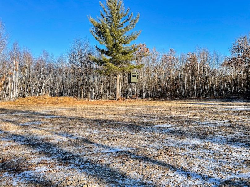 ClarK 160 WILLIAMS -19