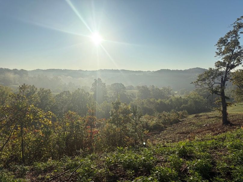 020 Ridge-top views framed by mature trees create a picturesque rural setting