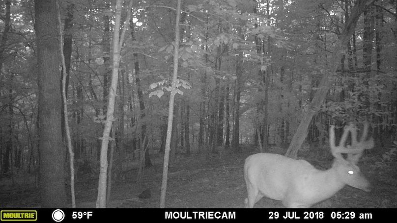 trail cam23