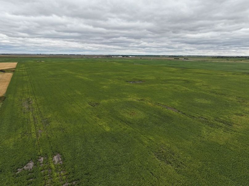 DJI_20250801163500_0741_D