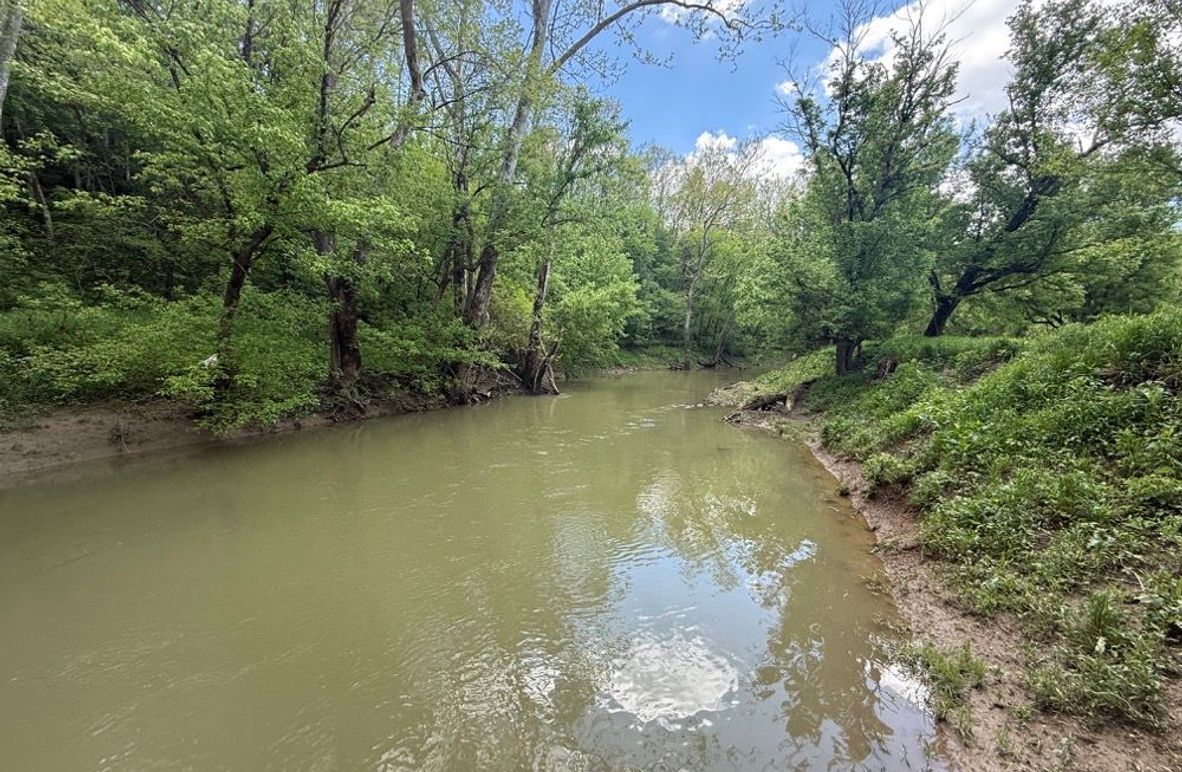 002 Hinkston Creek along the east boundary after a spring rain